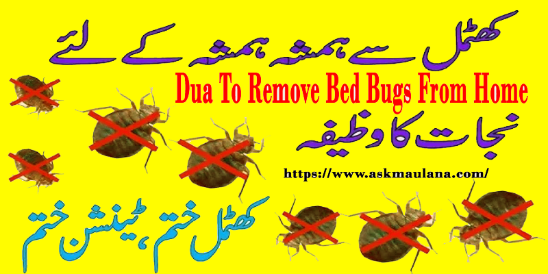 Dua To Remove Bed Bugs From Home