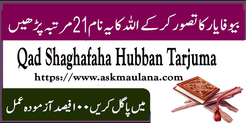 Qad Shaghafaha Hubban Tarjuma