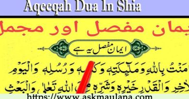 Aqeeqah Dua in Shia
